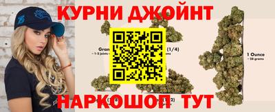 сатива Новокубанск