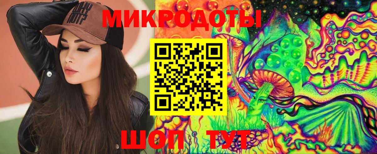 Псилоцибиновые грибы Cubensis Сарапул