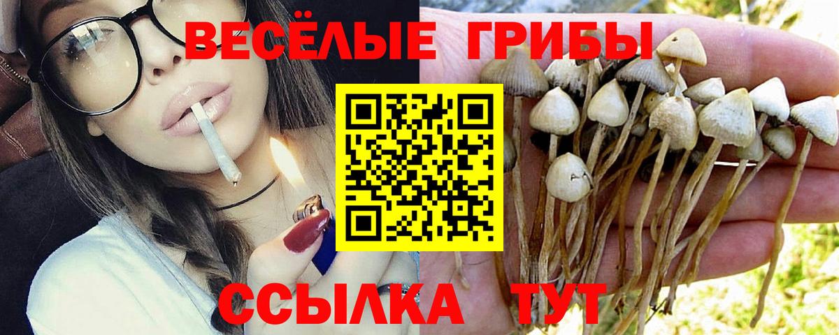 Галлюциногенные грибы Cubensis  Вход с VPN  где продают   Сарапул 